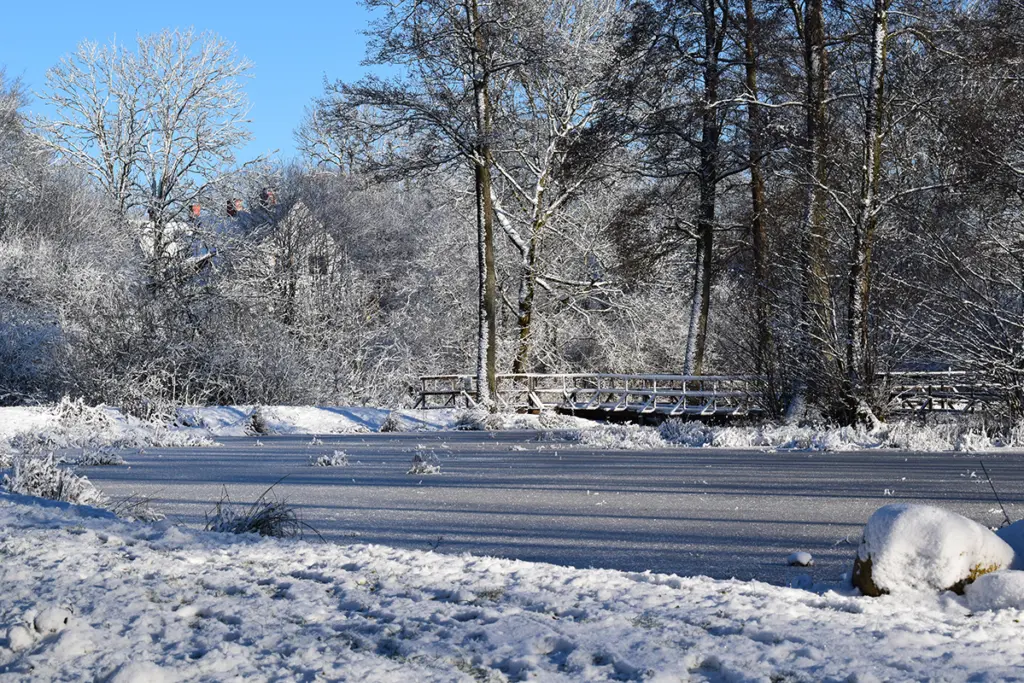 Vinter och isdamm i Östra Sallerup