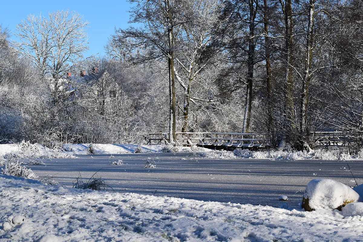 Vinter och isdamm i Östra Sallerup
