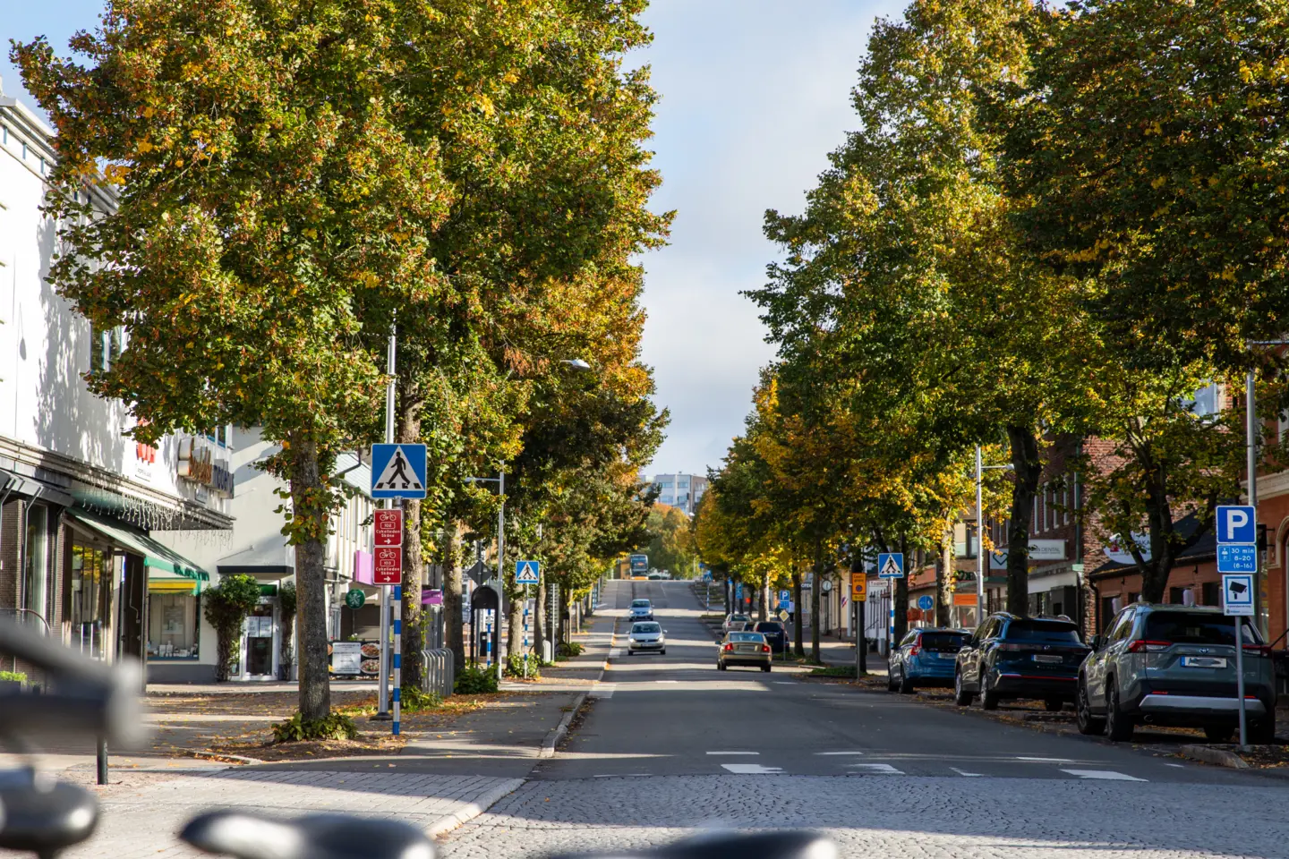 En bild på en trafikerad gata kantad av gröna träd på en solig dag