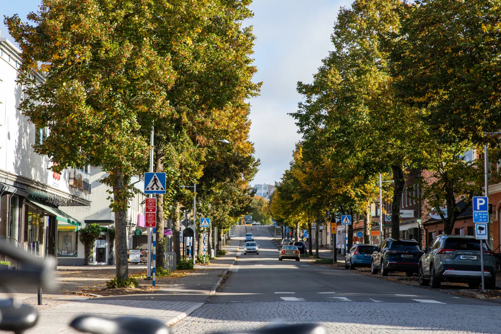 En bild på en trafikerad gata kantad av gröna träd på en solig dag