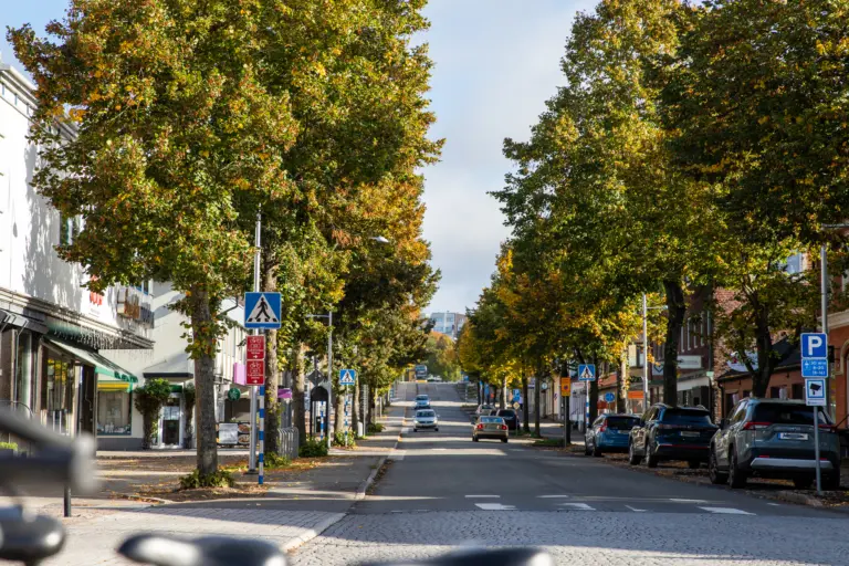 En bild på en trafikerad gata kantad av gröna träd på en solig dag