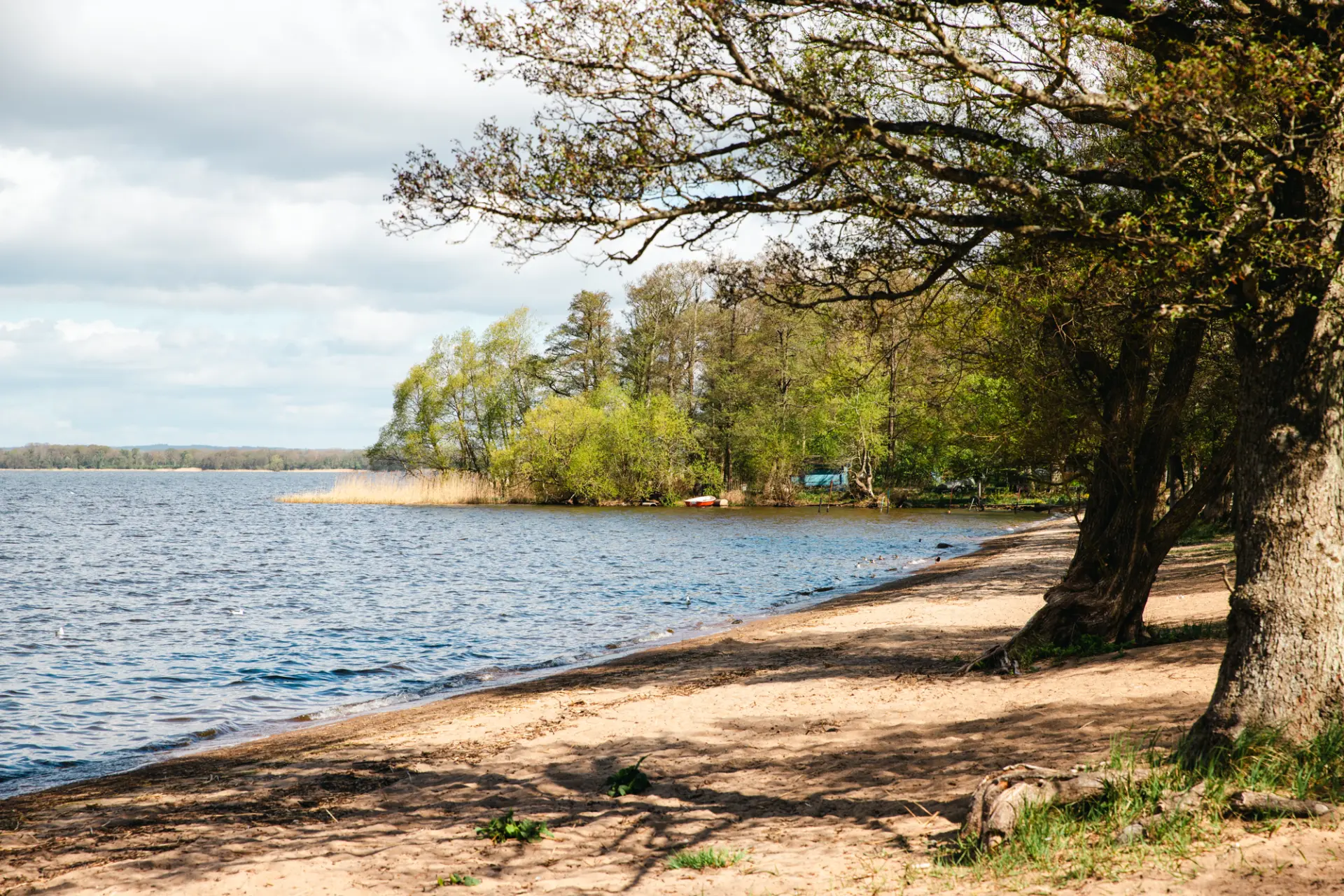 Sandstrand vis sjö