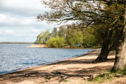 Sandstrand vis sjö