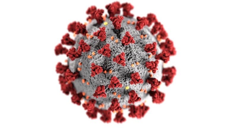 Corona-virus i närbild.