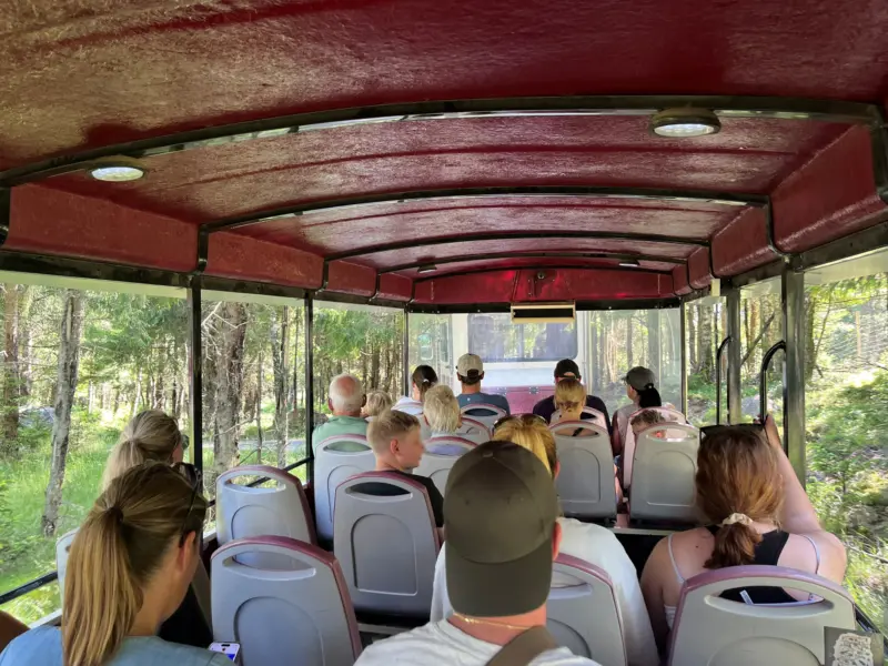 Utflykt under förra årets läger.