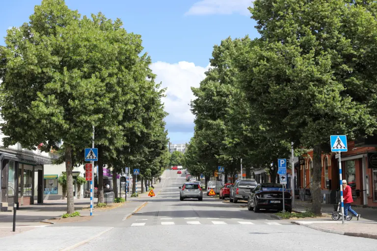 Övergångsställe vid väg