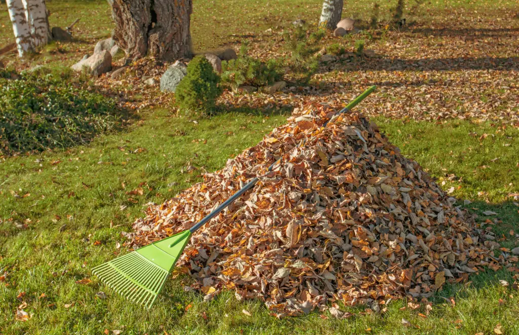 Lövhög med kratta