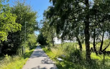 cykelväg som går genom grönskande naturområde