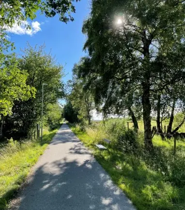cykelväg som går genom grönskande naturområde