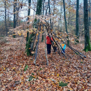 Bygga koja i skogen