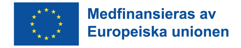 EU-flaggan med texten "medfinansieras av Europeiska unionen"
