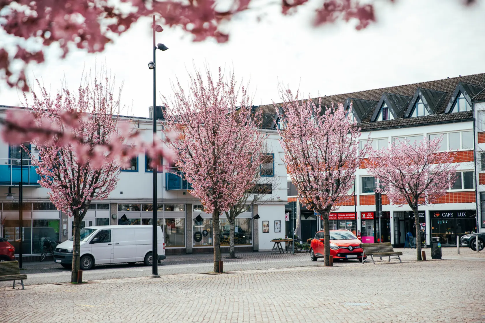 Vy över blommande körsbärsträd på Nya torg i Hörby