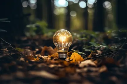 Glödlampa lyser på marken i tät skog.