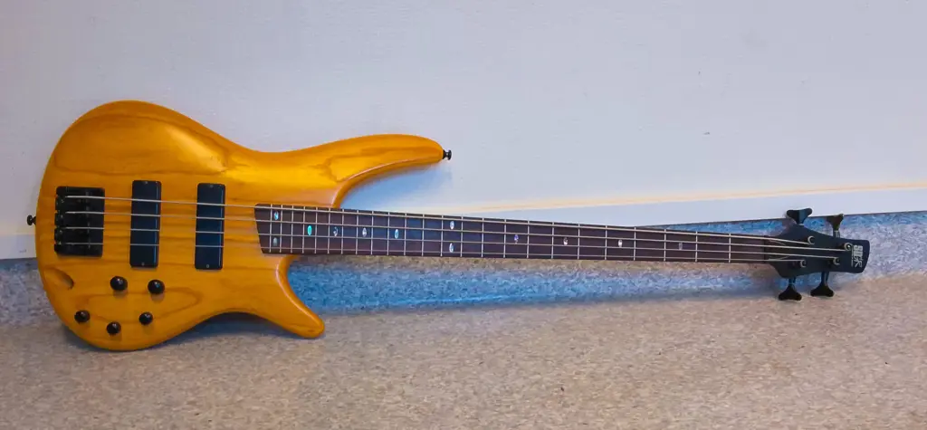 En träfärgad elbas ligger mot en vägg