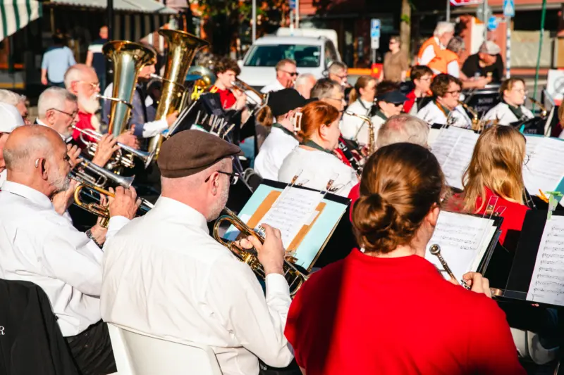 En orkester med blåsinstrument fotograferad bakifrån. Förutom musikanterna syns också deras notstativ och mässingsinstrument som blänker i solen.