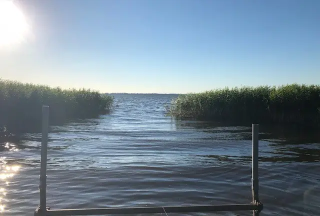 Sjö med vass