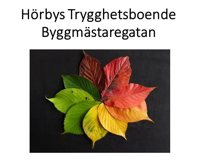 Löv i olika färger grön röd orange gul