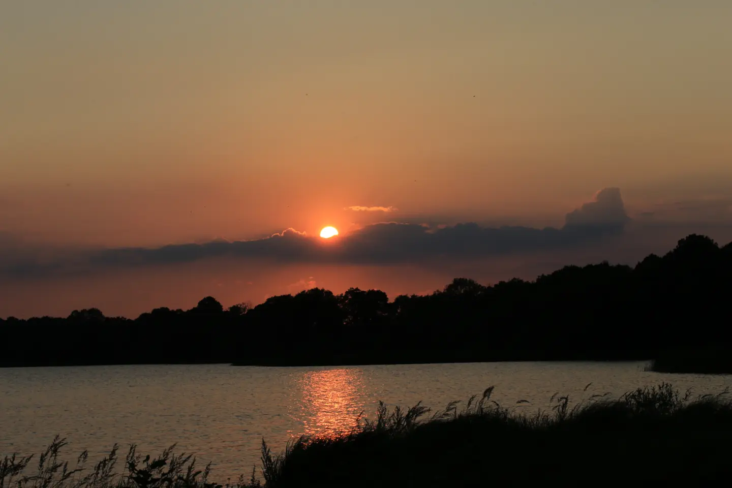 Solnedgång Ringsjön