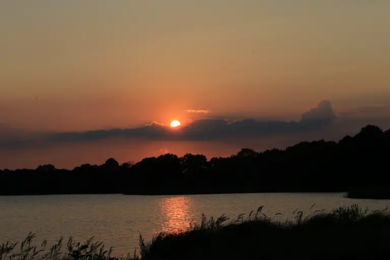 Solnedgång Ringsjön