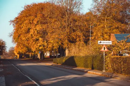 Mindre gata med vägskyltar och träd vid sidan.