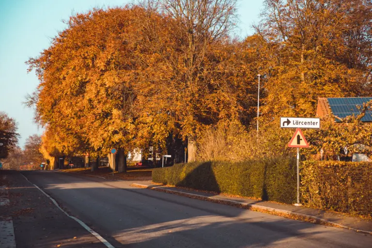 Mindre gata med vägskyltar och träd vid sidan.