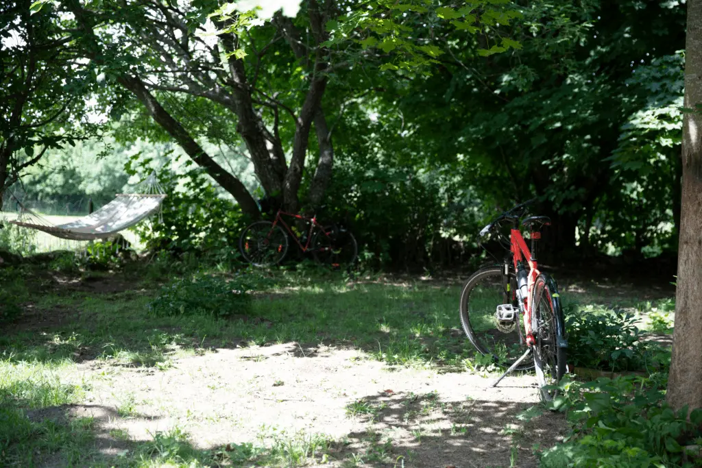 En hängmatta och två parkerade cyklar ute i en grönskande skog.
