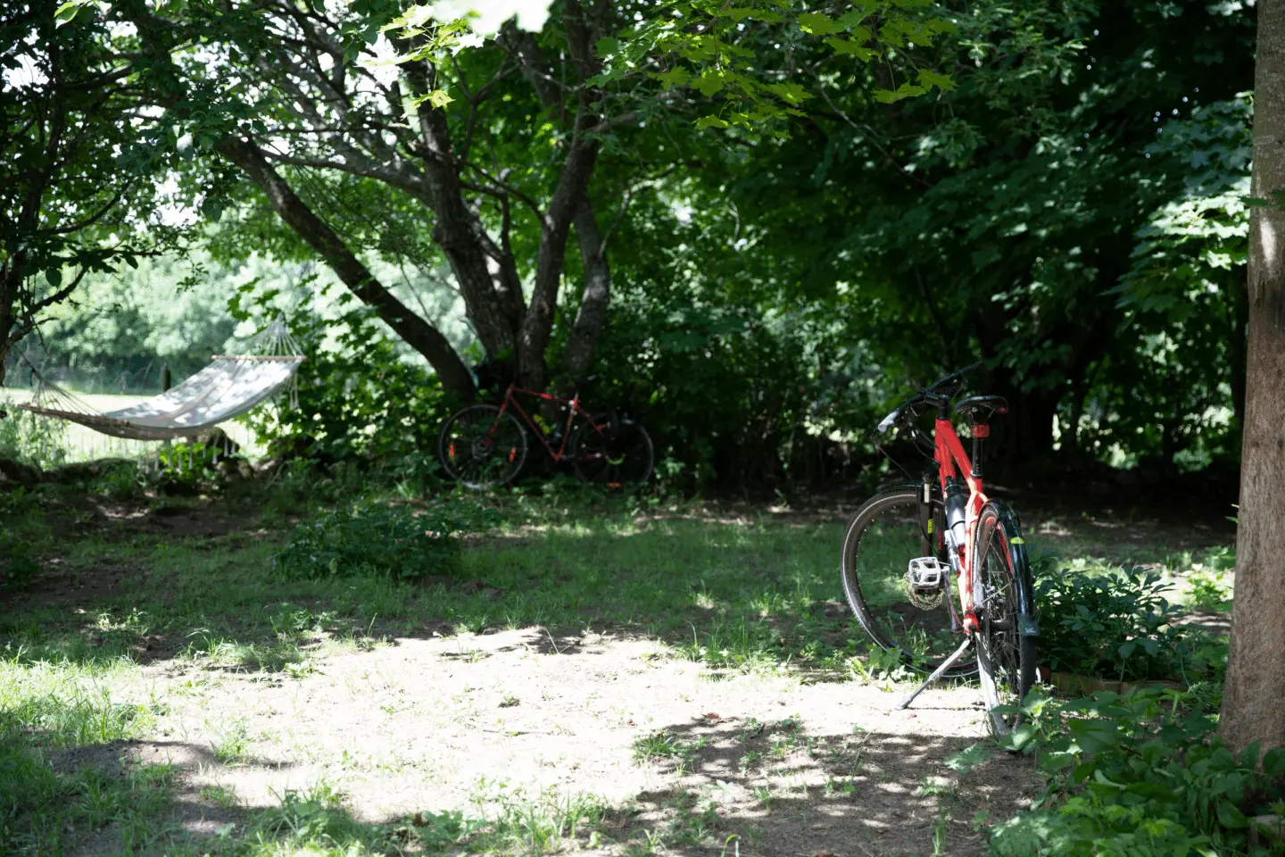 En hängmatta och två parkerade cyklar ute i en grönskande skog.