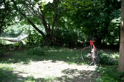 En hängmatta och två parkerade cyklar ute i en grönskande skog.