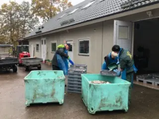 Skånes djurpark mata djur