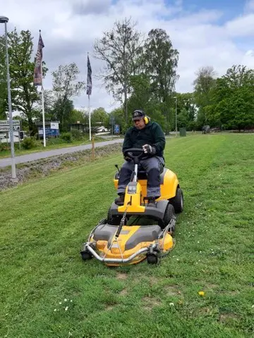 Skånes djurpark klippa gräs