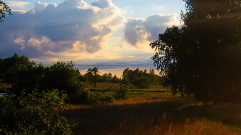Naturreservat i Hörby i solnedgång