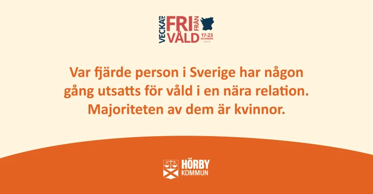 En bild med orangea grafiska inslag, där det står "Var fjärde person i Sverige har någon gång utsatts för våld i en nära relation. Majoriteten av dem är kvinnor."