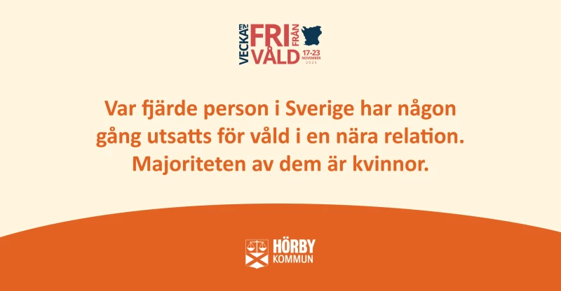 En bild med orangea grafiska inslag, där det står "Var fjärde person i Sverige har någon gång utsatts för våld i en nära relation. Majoriteten av dem är kvinnor."