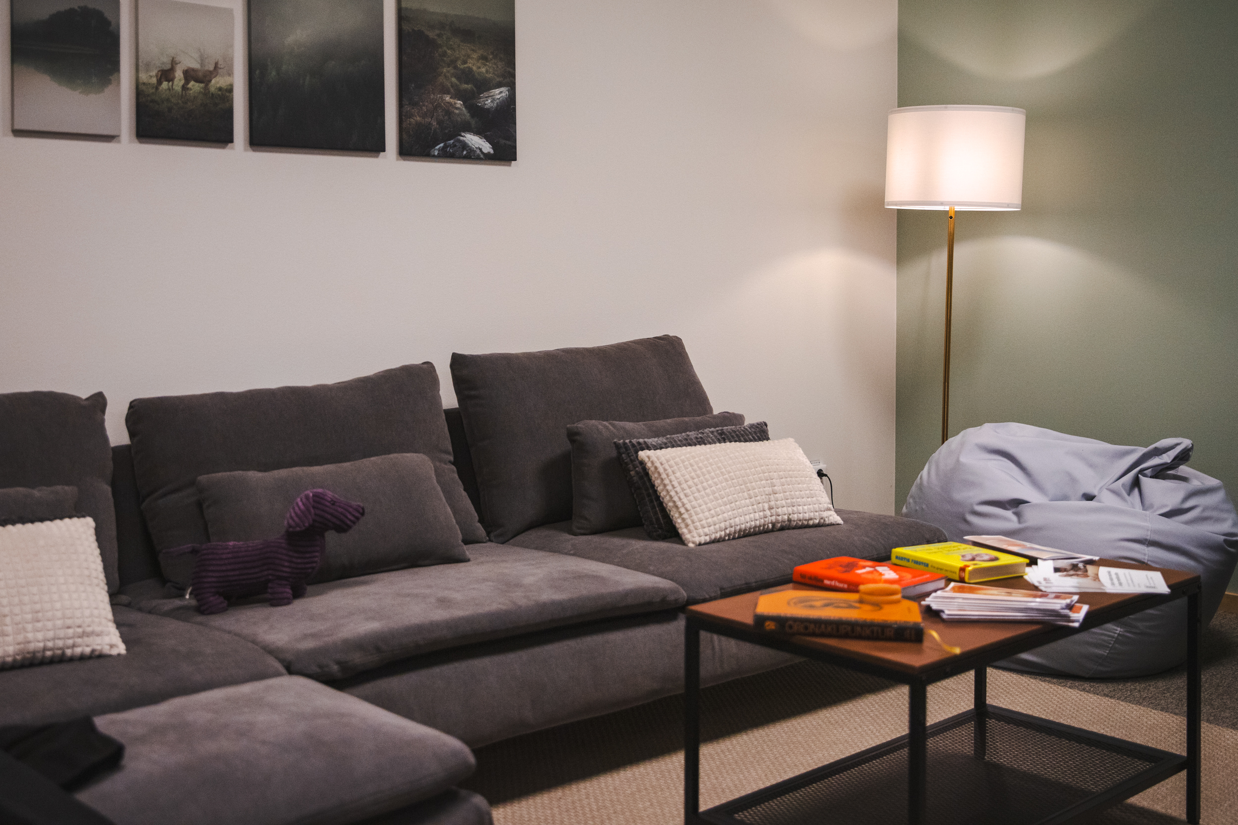 Ett rum möblerat med en svart soffa fylld med kuddar och ett gosedjur, en tavelvägg ovanför soffan, en golvlampa, ett soffbord och en grå saccosäck till höger om soffan.