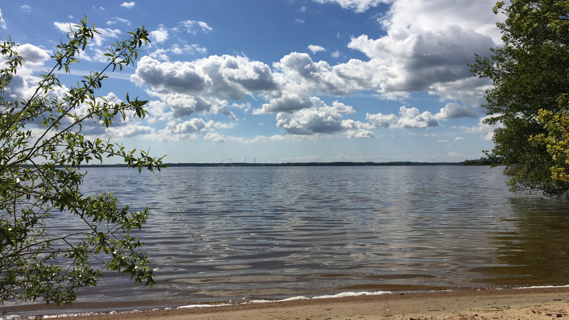 Sandstrand vid Ringsjön en solig sommardag.