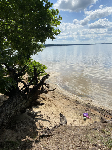 buskage vid en sandstrand, sjö