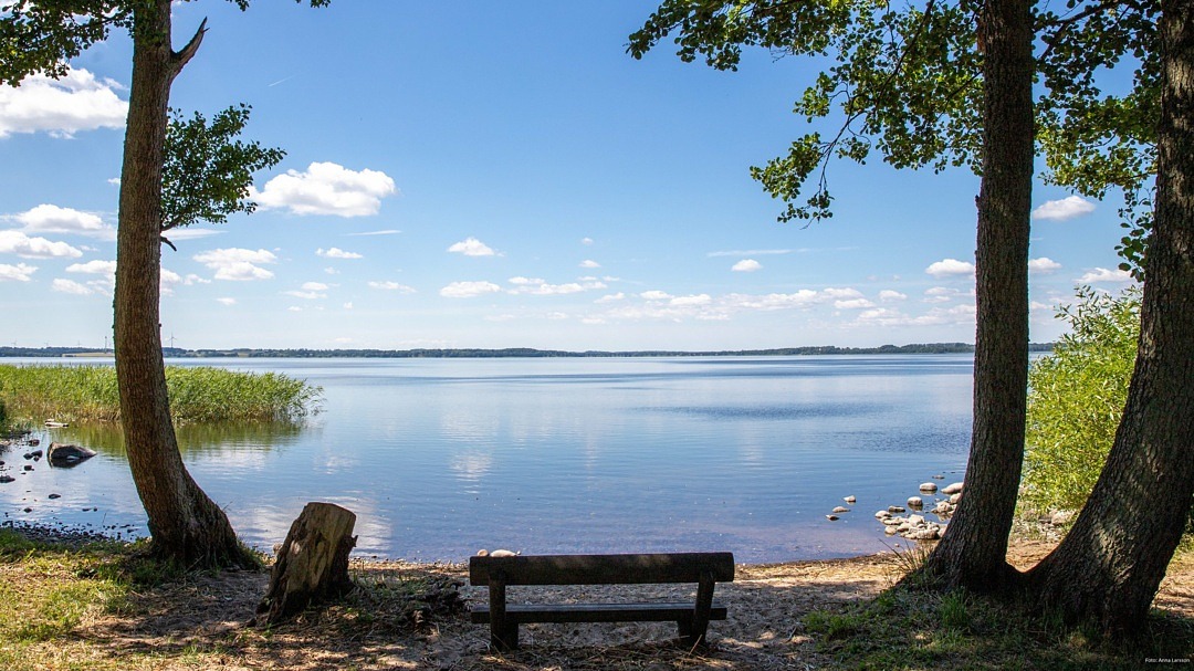 Ringsjön