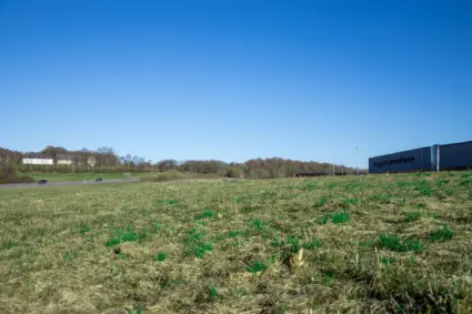 Grön ängsmark möter blå himmel. I horisonten syns ett skogsbryn och framför det skymtar vi en motorväg som några bilar åker på.