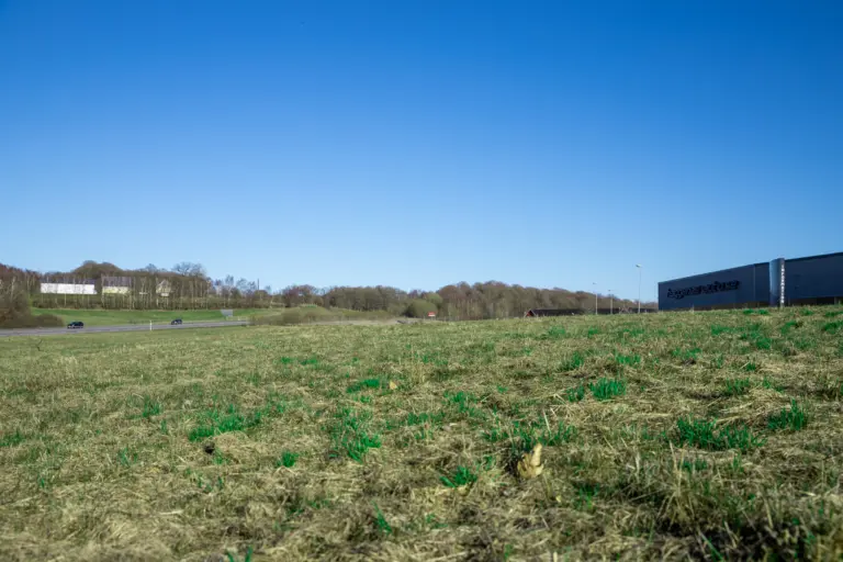 Grön ängsmark möter blå himmel. I horisonten syns ett skogsbryn och framför det skymtar vi en motorväg som några bilar åker på.