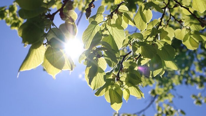Energi- och klimatrådgivning